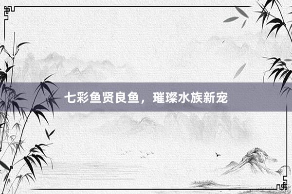 七彩鱼贤良鱼，璀璨水族新宠