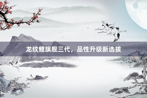龙纹鲤旗舰三代，品性升级新选拔