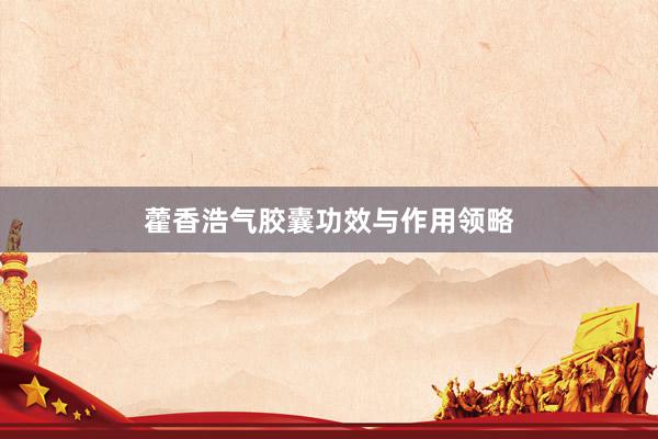 藿香浩气胶囊功效与作用领略